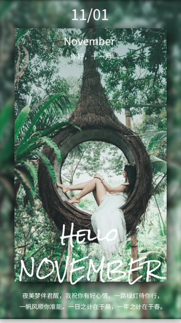 通用11月你好祝福实景手机海报预览效果