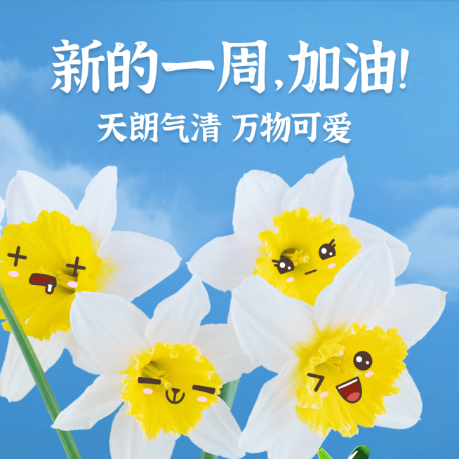 趣味可爱早安问候方形海报预览效果