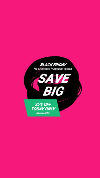 Fashion Brush Element Black Friday Sales Instagram Highlight