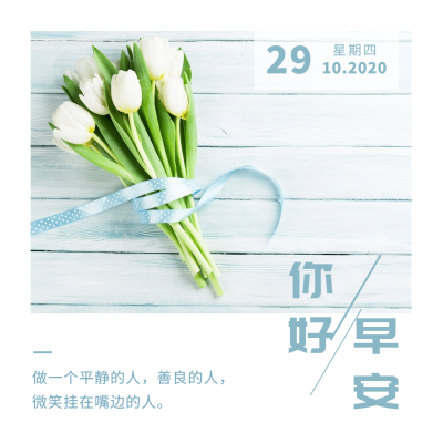 日签早安你好实景静物简约方形海报