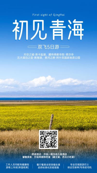 青海山野名胜景点旅游手机实景海报