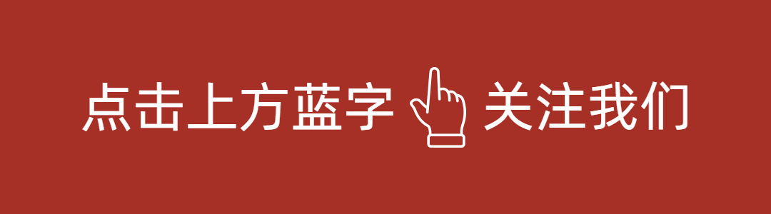 党政简约动态引导关注预览效果