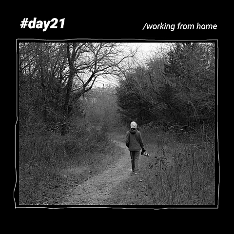 Travel Record Photo Simple Fashion Style Camera Simulation Poster Instagram Post