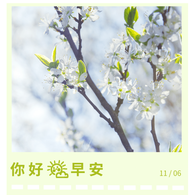 方形日签早安问候实景静物