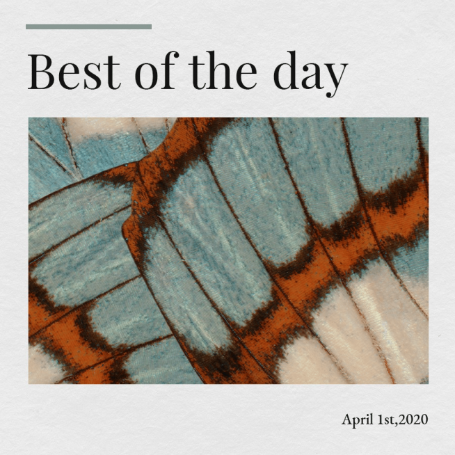 Best Of The Day Incentive Text Template Fashion Art Simple Style Poster Instagram Post预览效果