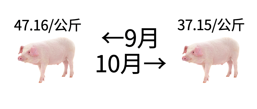 猪肉降价趣味公众号首图预览效果