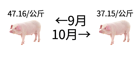 猪肉降价趣味公众号首图