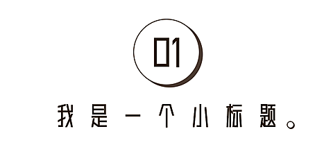 序号编号文字文章小标题