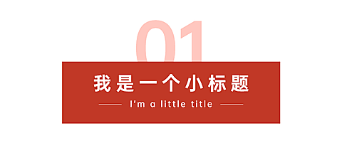 序号编号文字文章小标题