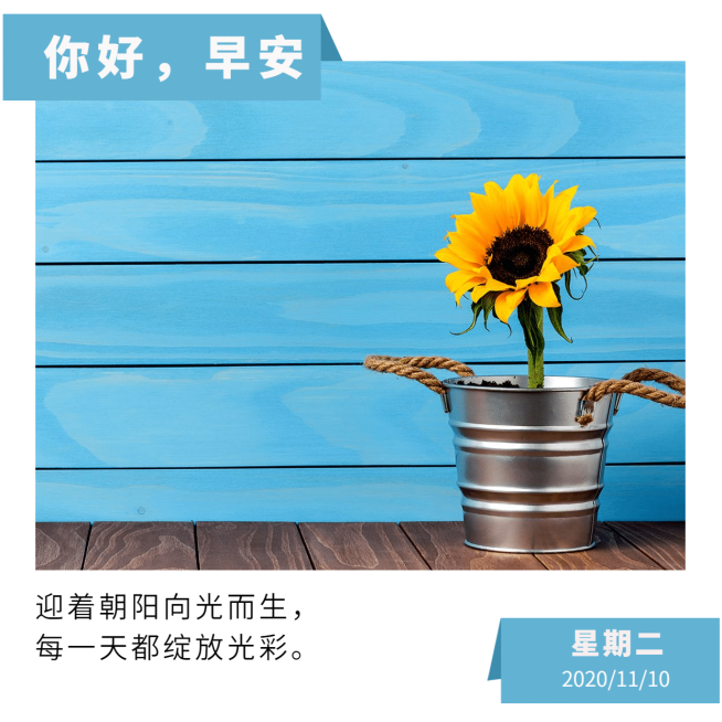 早安问候日签正能量展示预览效果