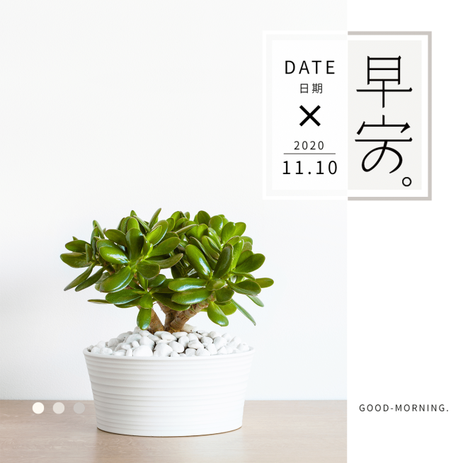 方形日签早安北欧植物预览效果