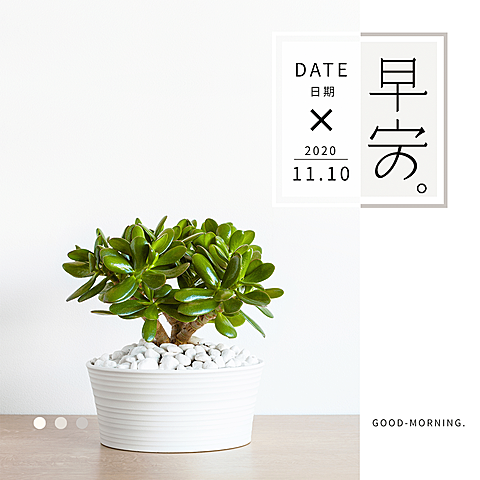 方形日签早安北欧植物