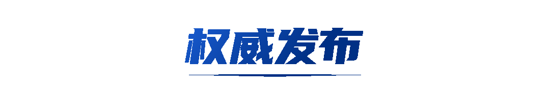 通知公告严肃新闻风动态分割线预览效果