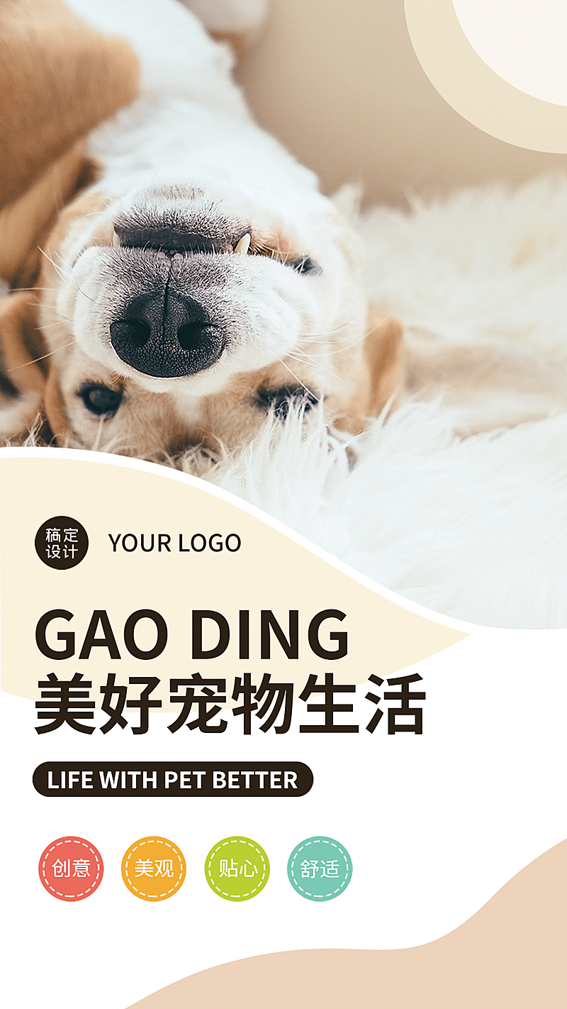 宠物生活方式家居品牌介绍宣传册海报