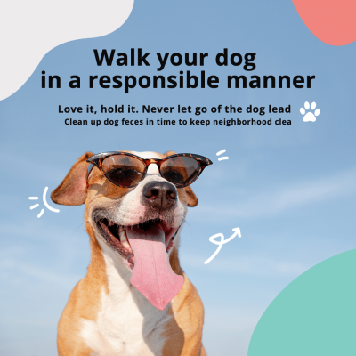 Fresh Style Walk The Dog Civilized Instagram Post