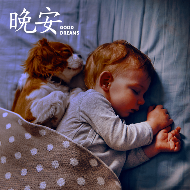 方形日签极简晚安实景宝宝问候预览效果