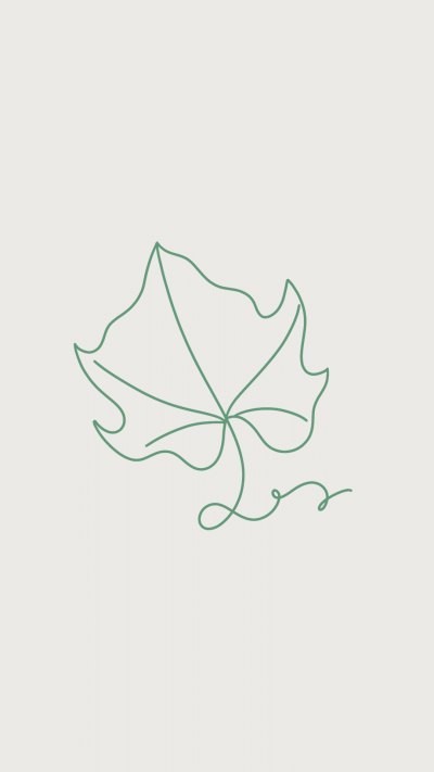 Minimal Line Drawing Green Leaf  Art Illustration Instagram Highlight