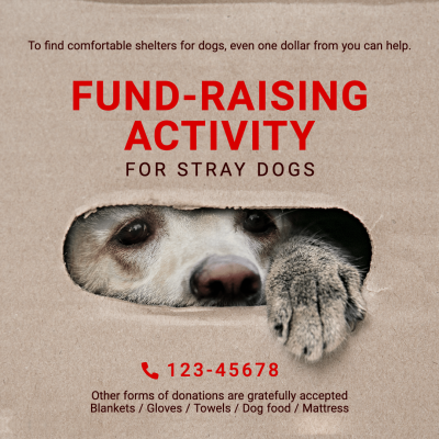 Simple Stray Dogs Fund-Raising Activity Instagram Post