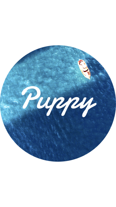 Minimalist Circle Frame Sea Scene Simple Text Puppy Instagram Highlight