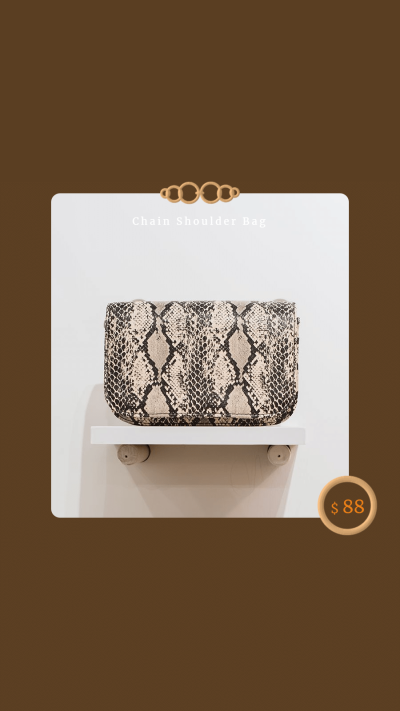 Retro Ladies Bag Display Introduction Instagram Story