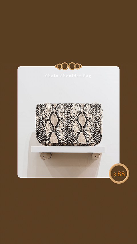Retro Ladies Bag Display Introduction Instagram Story