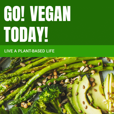 Simple Fresh Vegan Day Display Instagram Post