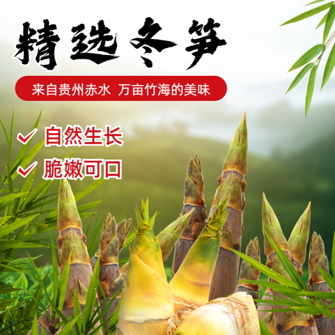食品蔬菜冬笋电商直通车主图预览效果