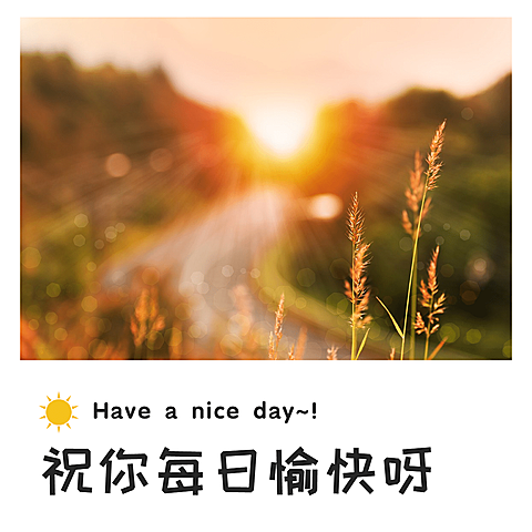 文艺简约字体方形海报