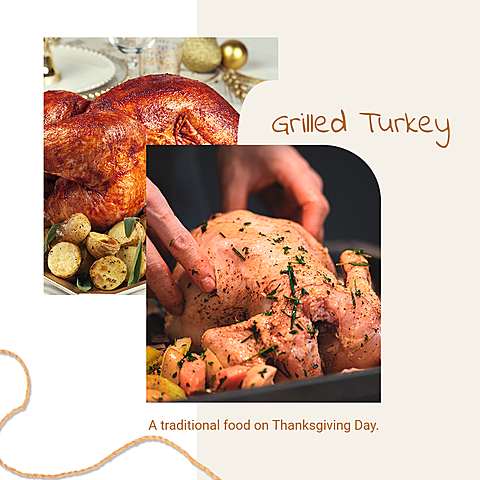 Luxury Grilled TUrkey Display Ecommerce Product Image