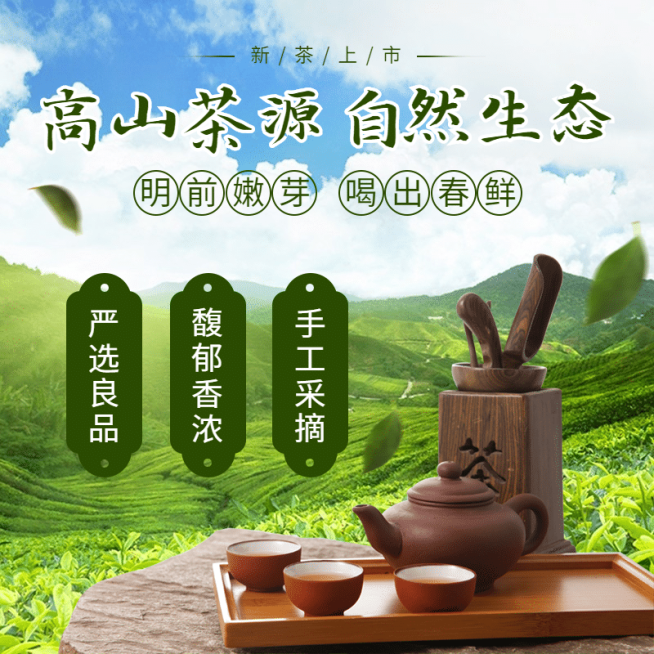 食品茶叶直通车主图预览效果