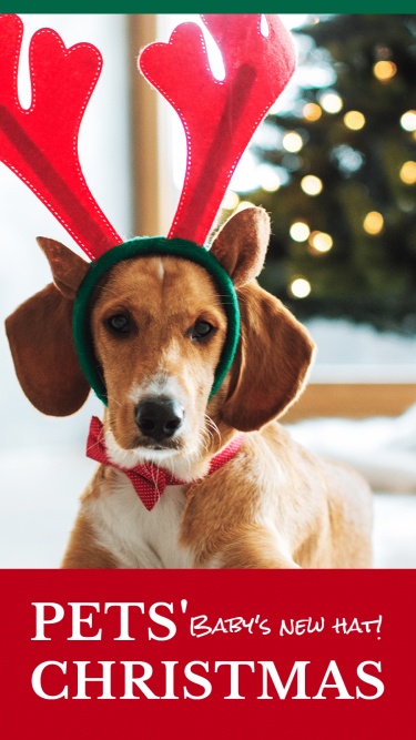 Pet’s Christmas Template Simple Style Ecommerce Story