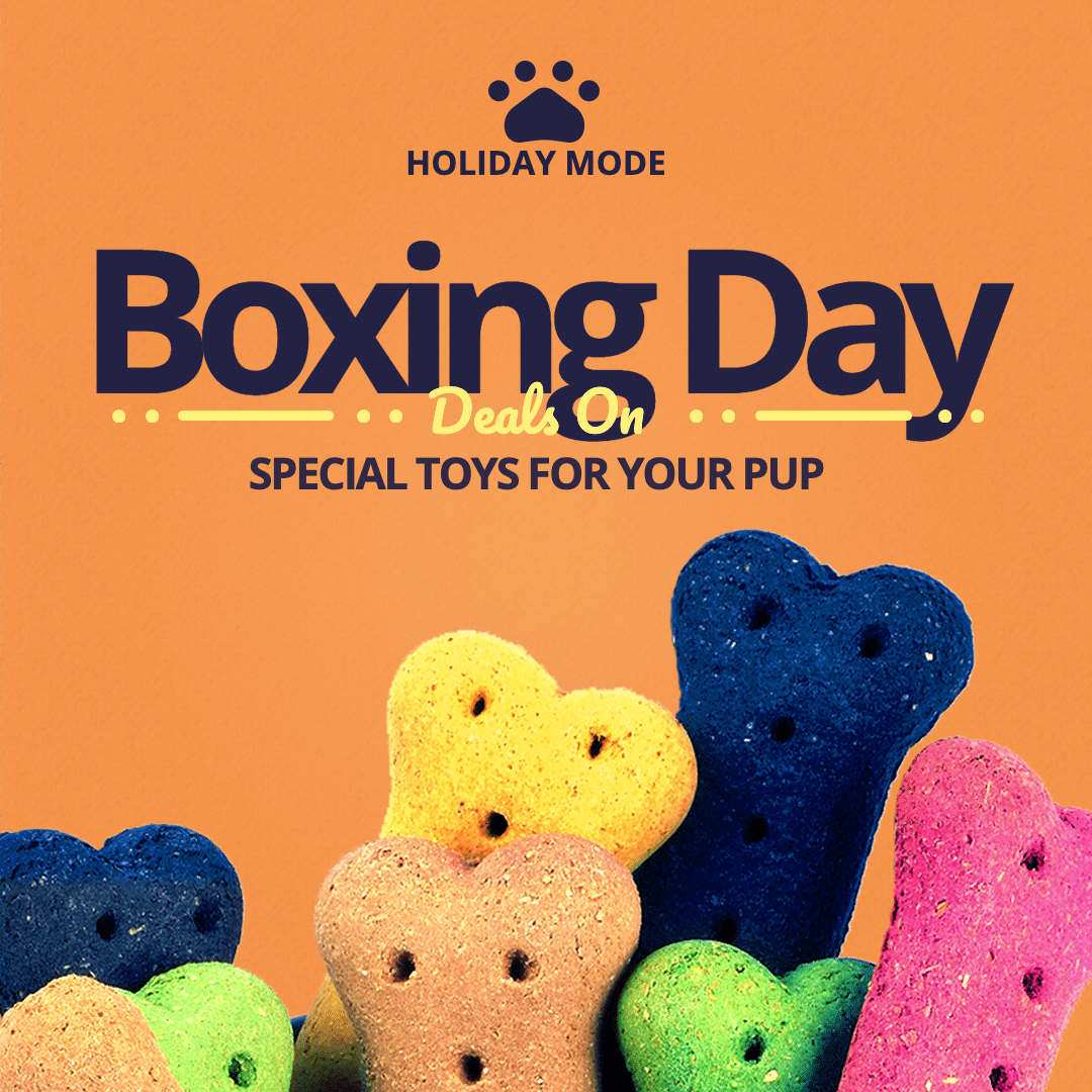 Pet Toys Boxing Day Promotion Ecommerce Product Image