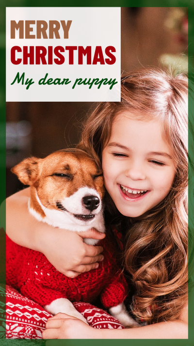 Merry Christmas Pet Photo Template Simple Style Poster Ecommerce Story