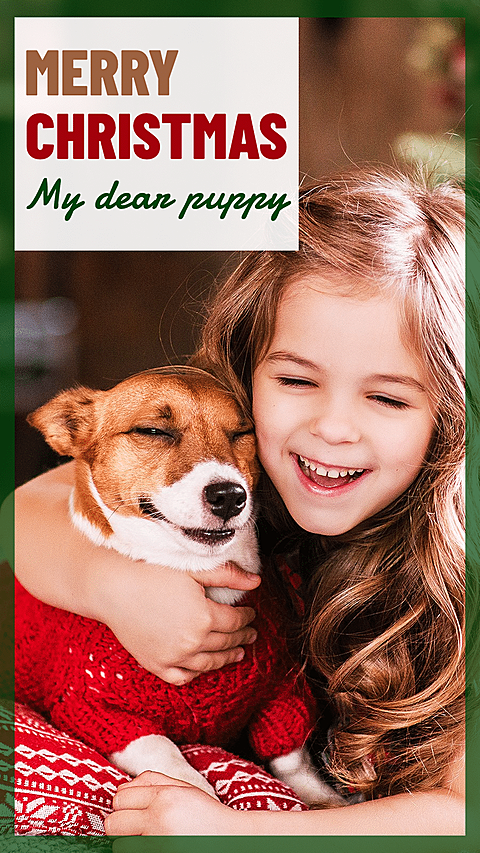 Merry Christmas Pet Photo Template Simple Style Poster Ecommerce Story