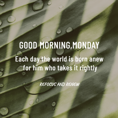Creative Plants Inspirational Quotes Instagram Post