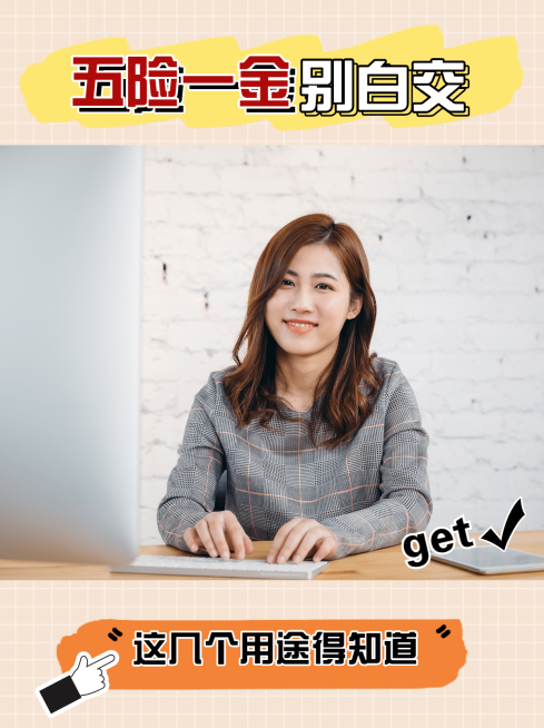 金融理财投资边框小红书封面配图预览效果