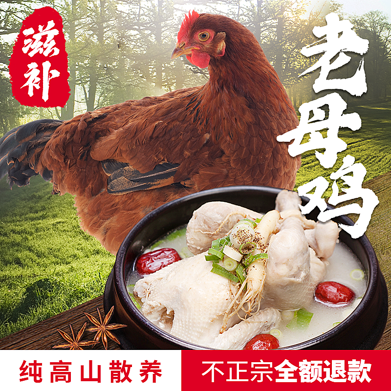 生鲜肉类禽类鸡肉直通车主图