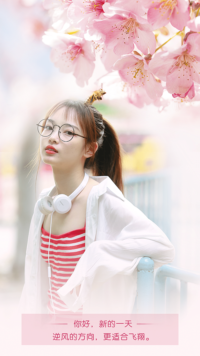 正能量日常问候融图樱花花朵文艺