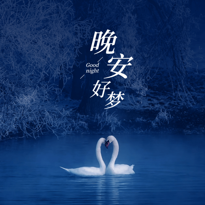 晚安问候实景天鹅简约文艺方形预览效果