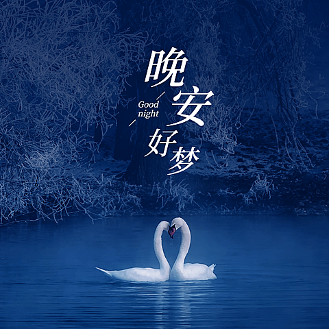 晚安问候实景天鹅简约文艺方形