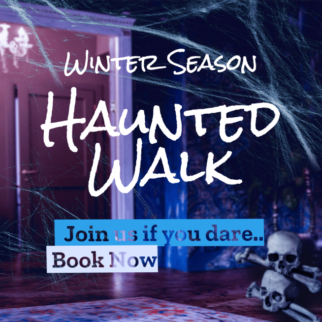Handwritting Text Winter Season Haunted Walk Reservation Ecommerce Product Image预览效果