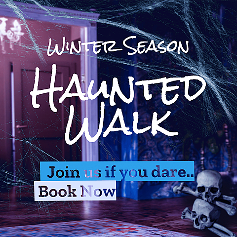 Handwritting Text Winter Season Haunted Walk Reservation Ecommerce Product Image
