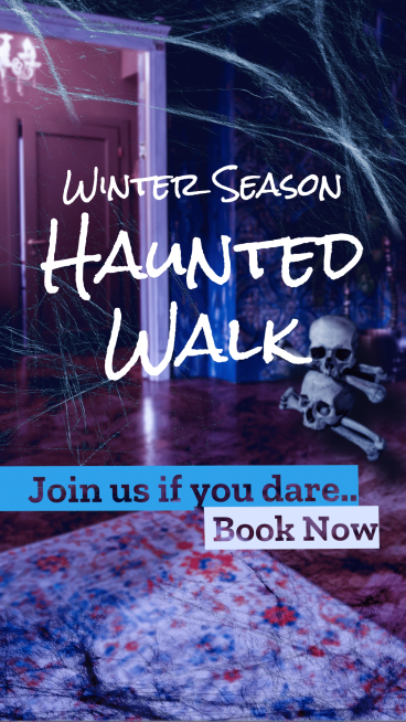 Spider Silk Element Winter Season Haunted Walk Reservation Ecommerce Story预览效果