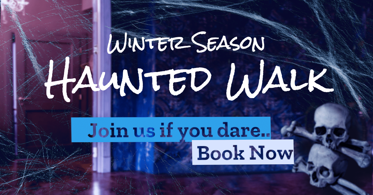 Winter Season Haunted Walk Reservation Ecommerce Banner预览效果