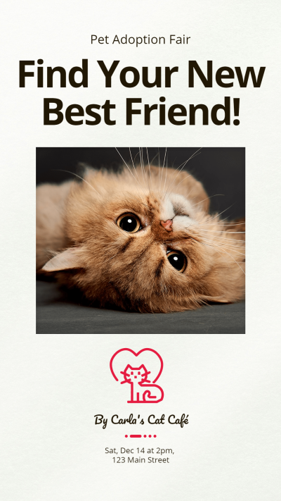Cat Cafe Pet Adoption Fair Ecommerce Story