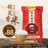 模板缩略图