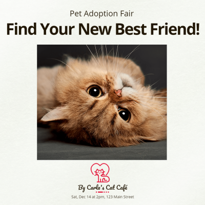 Pet Adoption at Cafe Poster with Cat Image