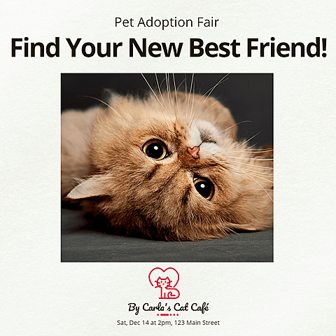 Pet Adoption at Cafe Poster with Cat Image