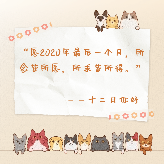 拼贴爱豆语录朋友圈封面明星应援预览效果
