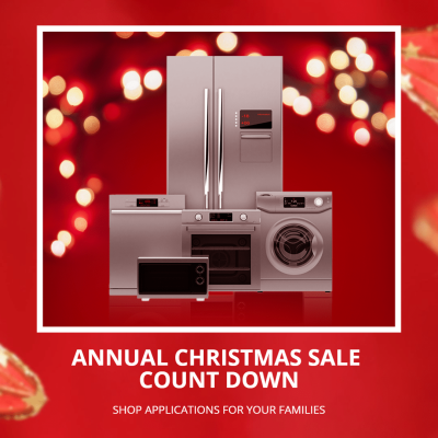 Literary Family Appliance Christmas Promo Instagram Post
